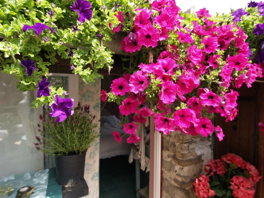 Le Petit Chateau Bed and Breakfast Dolceacqua Buitenkant foto